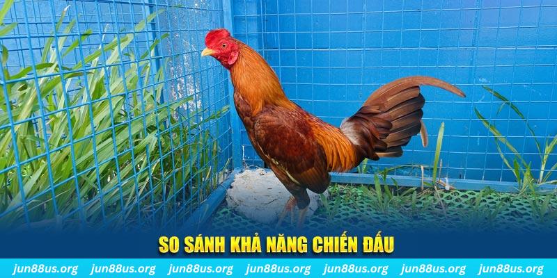 link hi88 xổ số tiền giang