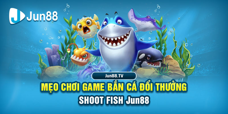 link hi88 tai game danh bai bigkool ve may tinh