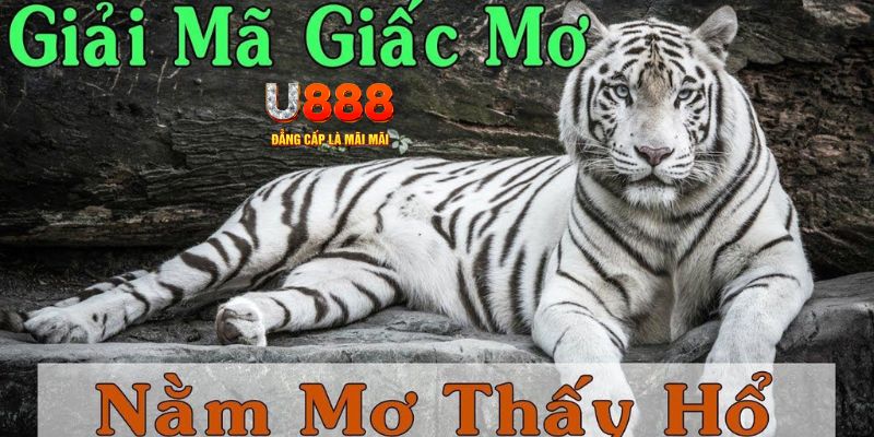 link hi88 xổ số kiến thiết miền bắc