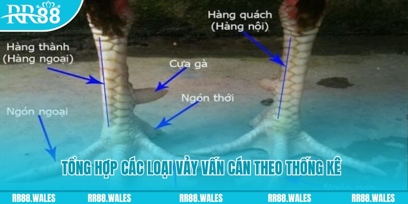 link hi88 nổ hũ chơi như thế nào