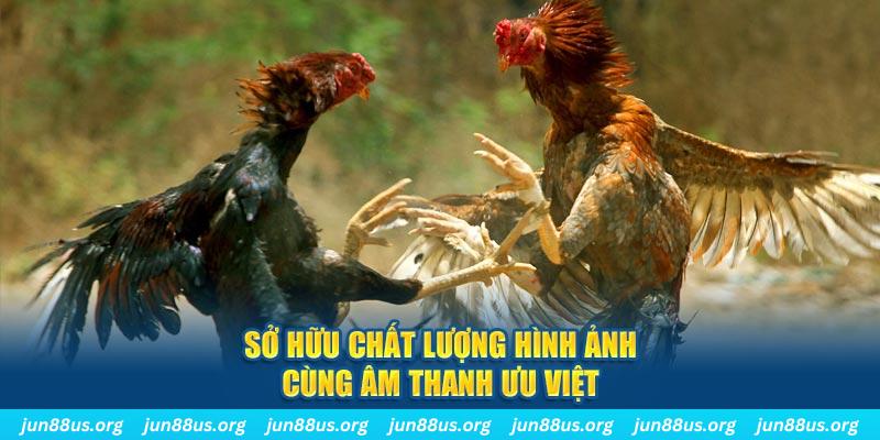 link hi88 tai game danh bai ve may tinh