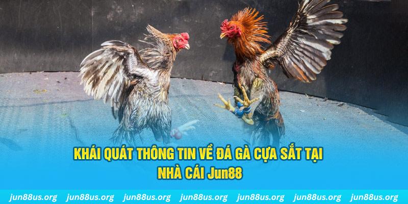 link hi88 game bài trên máy tính