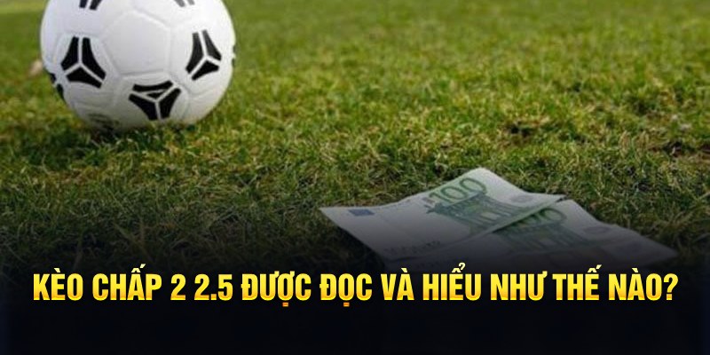 link hi88 đá gà thomo