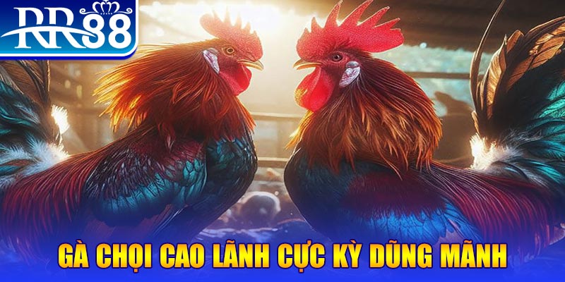 link hi88 natural” trong baccarat nghĩa là gì？